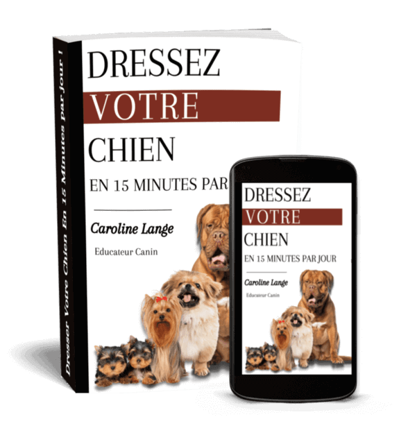 Dressez votre chien en 15 minutes par jour